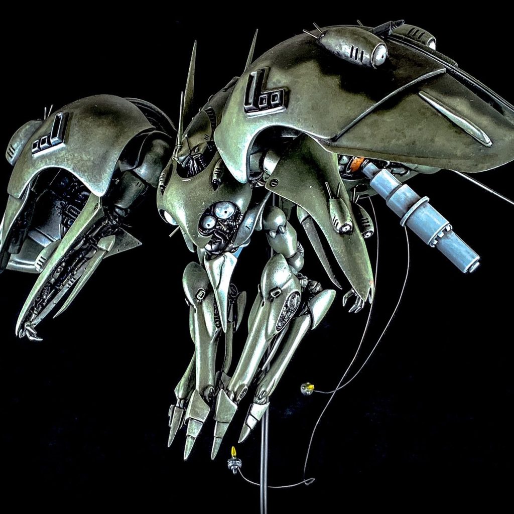 IMG_2495-aspect-ratio-750-750-