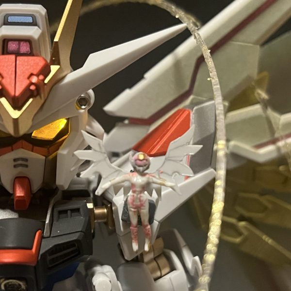 マイティストライクフリーダムガンダム　with 総裁