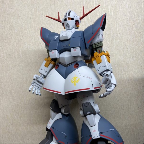 パーフェクトジオング hg