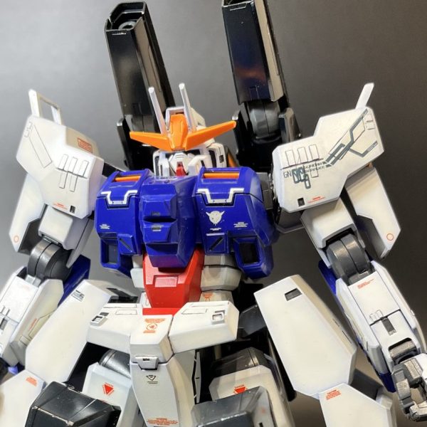 セラピーガンダム1/100