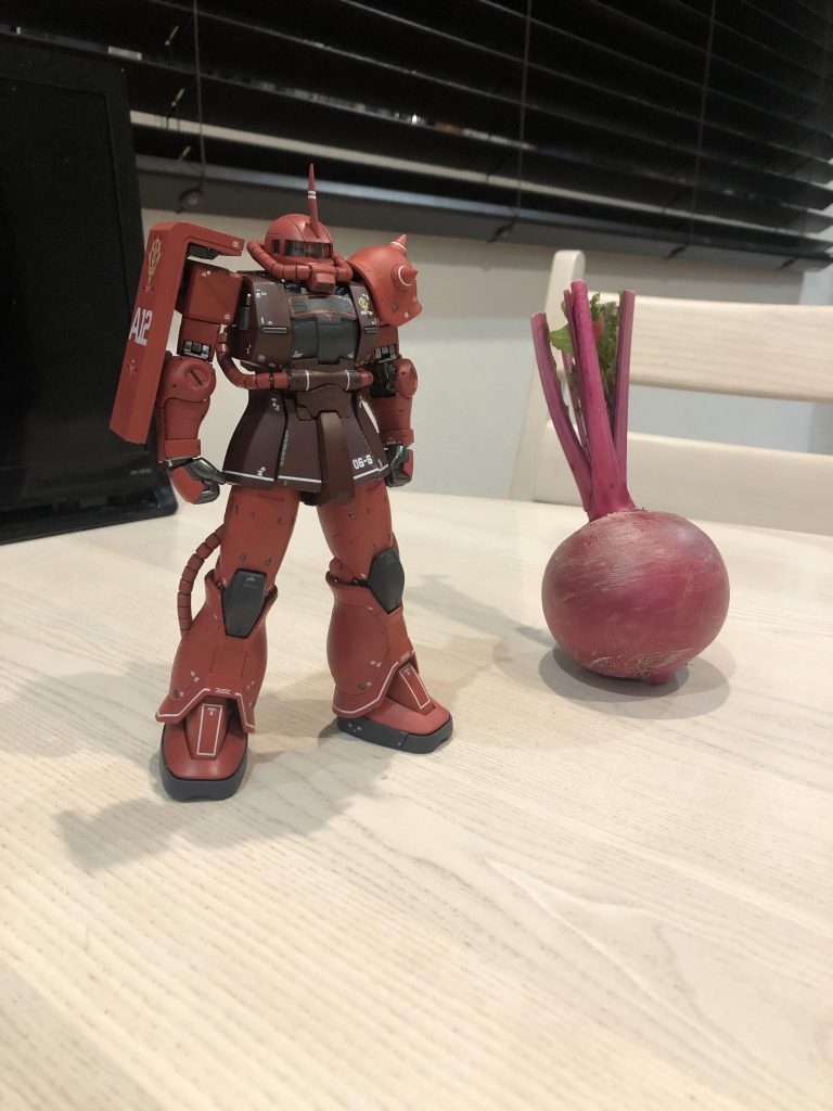 完成記念のカブと撮影