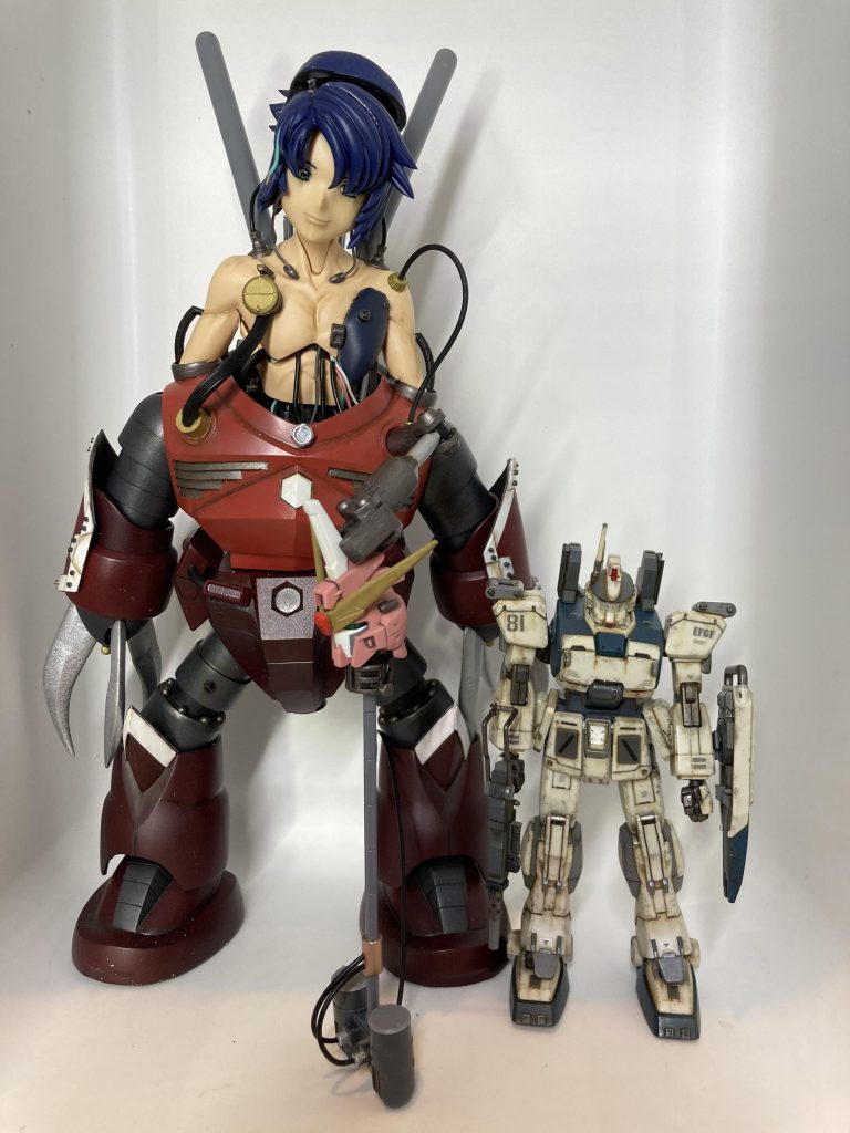 アスランズゴックと腕ちぎりez8