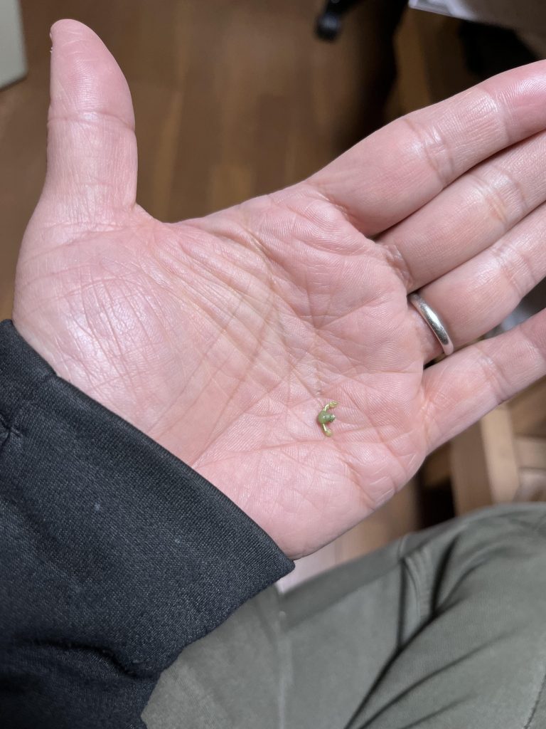 次はジムの天敵を作ろうと思っています。あと、盗んだバイクで走り出す人も作ろうと思います。