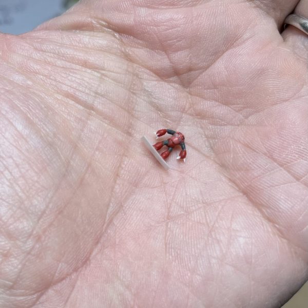 シャア専用ズゴック　誰になんと言われようとガンプラと言い切るアタシ