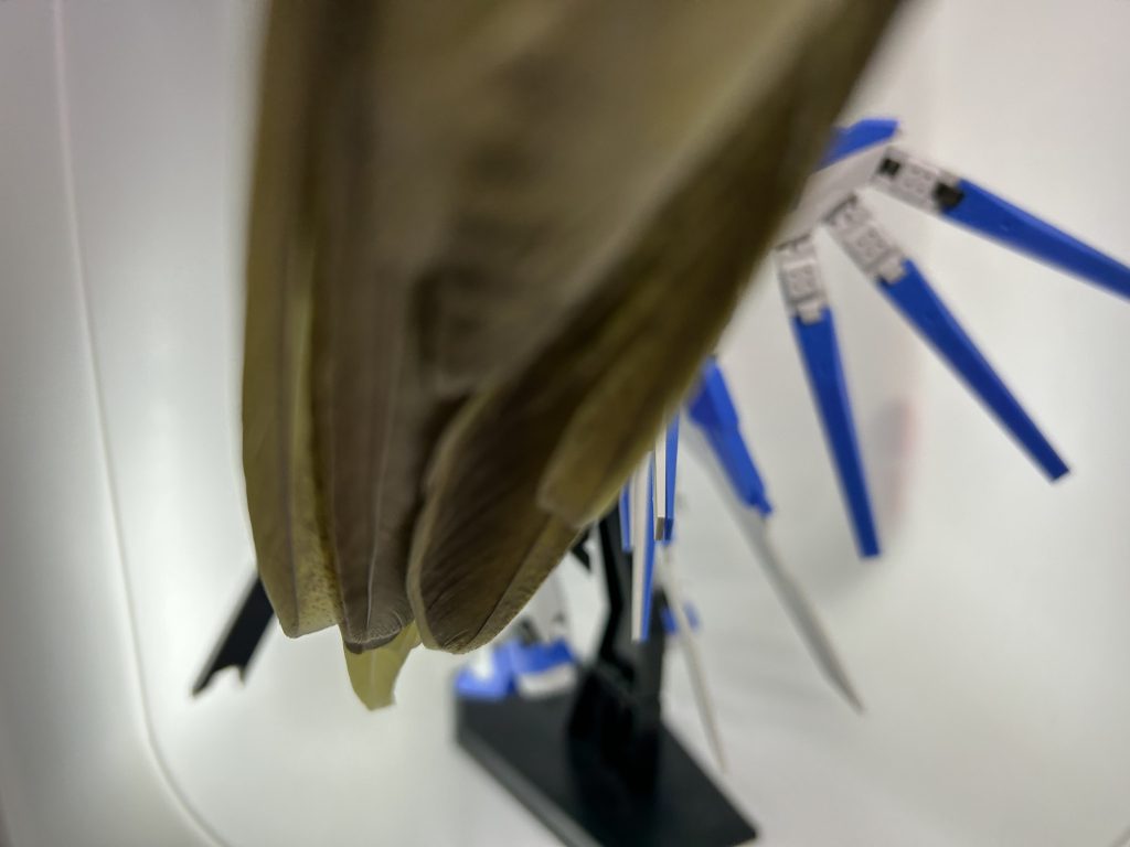 おまけ仮組時の撮影してたらインコに妨害された図