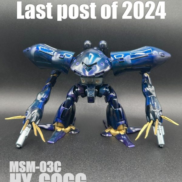 MSM-03C HG HY-GOGG No1