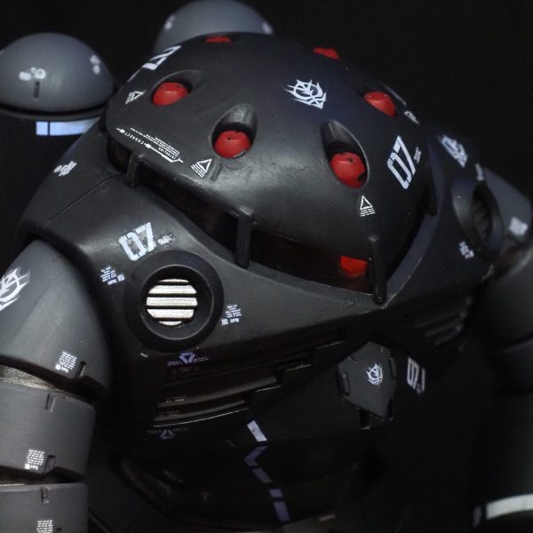 MG ズゴックを黒く塗ってみました