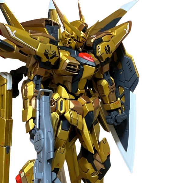 RGアカツキ全塗装完成品