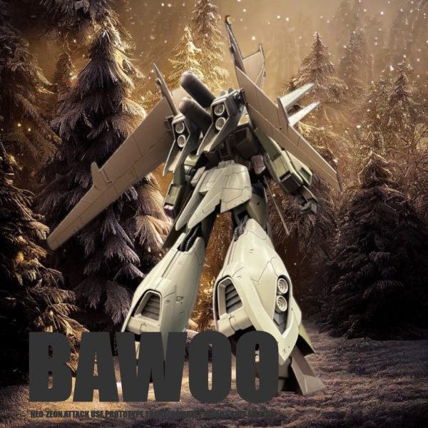 AMX-107 BAWOO RE No2