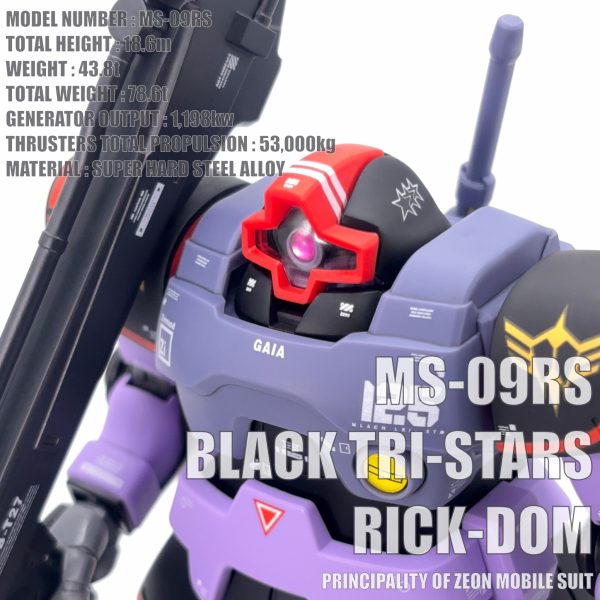 HGUC 黒い三連星専用リック・ドム｜ハヤマオさんのガンプラ作品