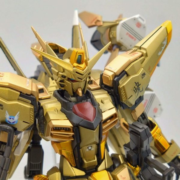RG 1/144 アカツキガンダム（オオワシ装備） プラモデル