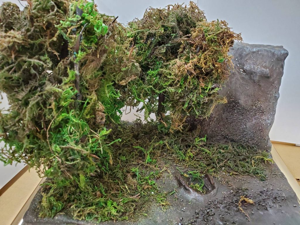 百均ってすげーと思う。砂、木々たちは百均。岩や湿地再現初めてにしては上出来。