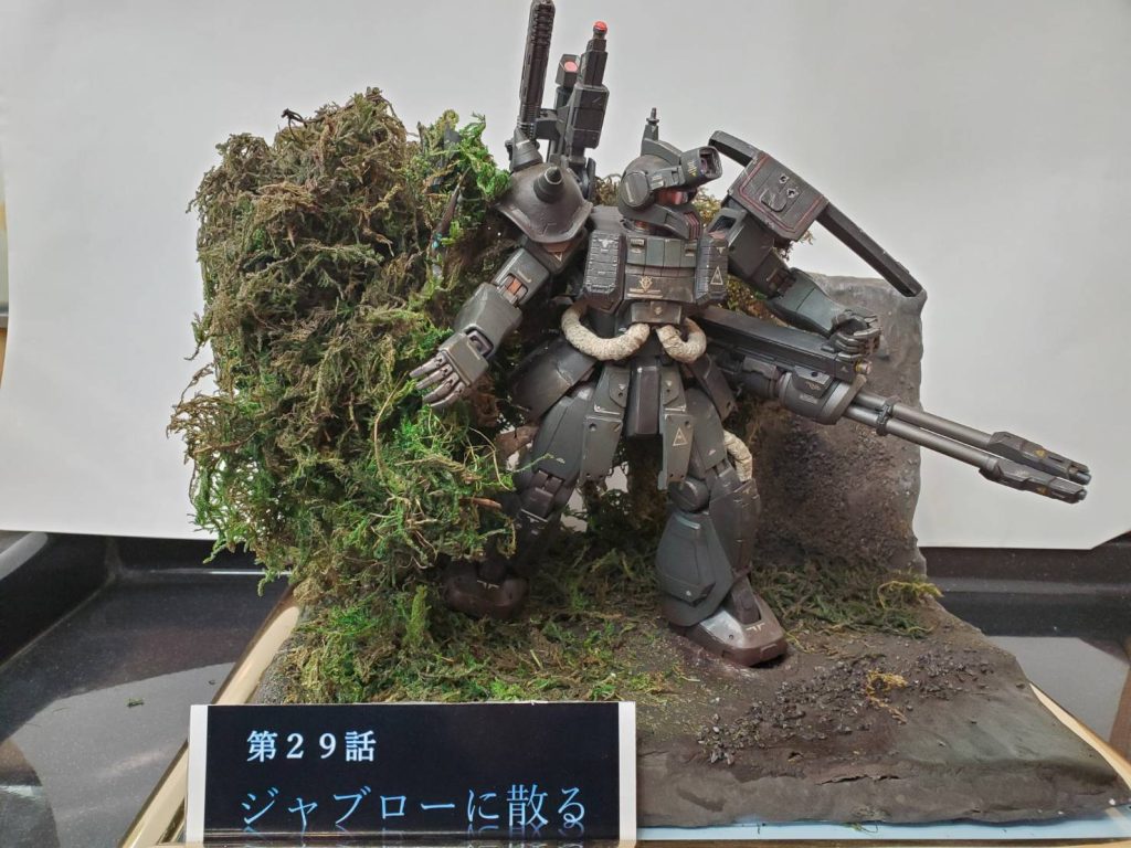 現地改修機の1機。ジャブロー攻略戦に参加（　＾ω＾）・・・的な