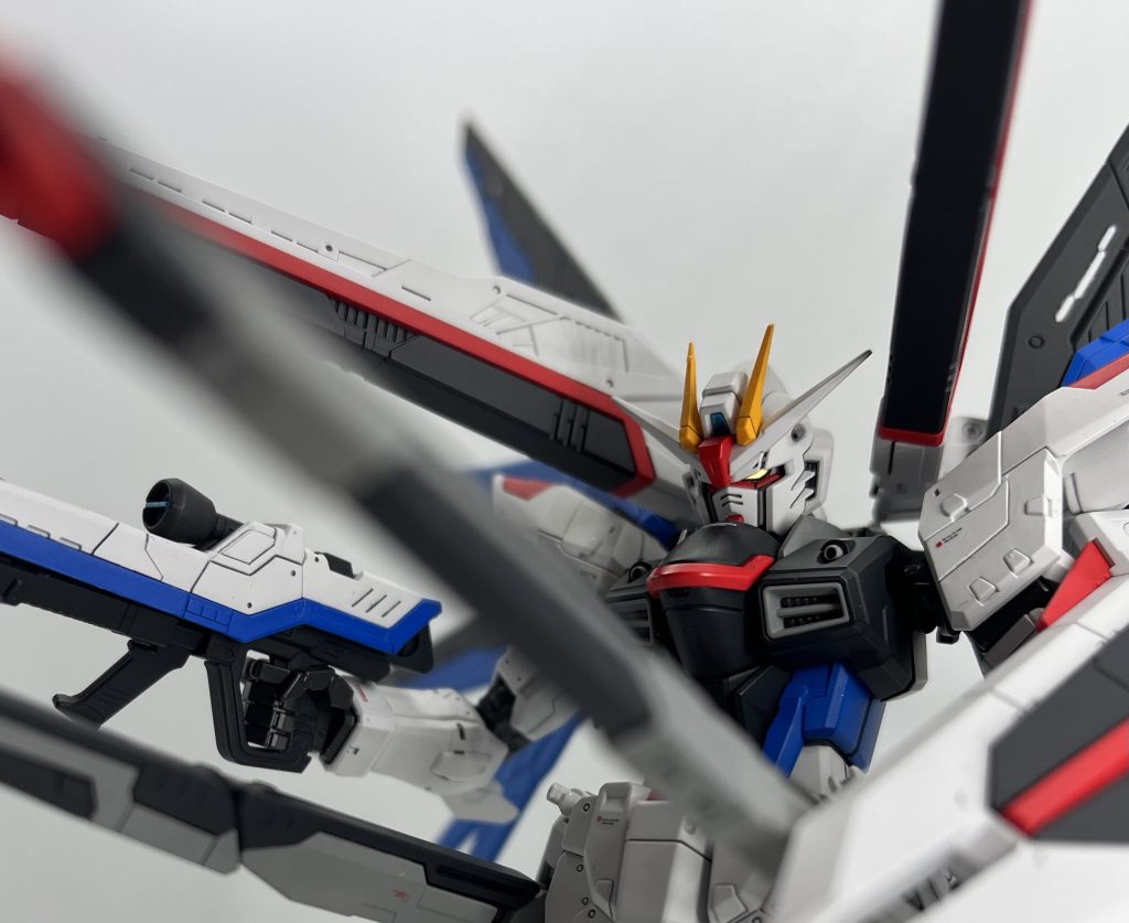 RG  フリーダムガンダム Ver.GCP–8枚目/制作者：tattsuokun