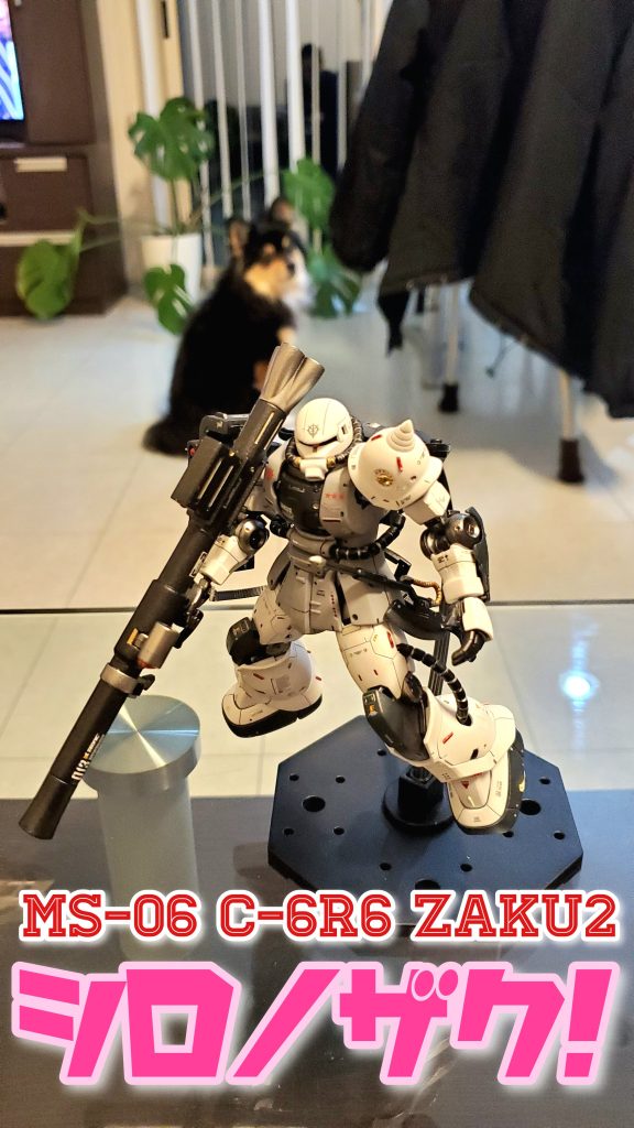 MS-06 C-6R6 ZAKU2–4枚目/制作者：なべお