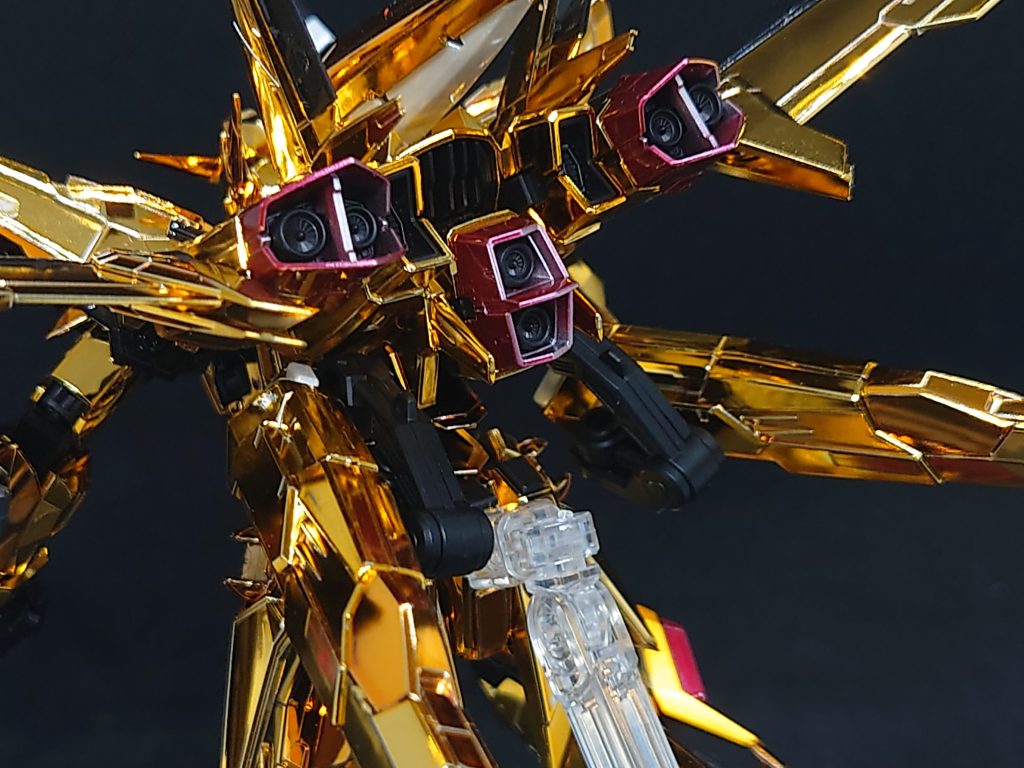 大鷲パック背部。テカテカ✨