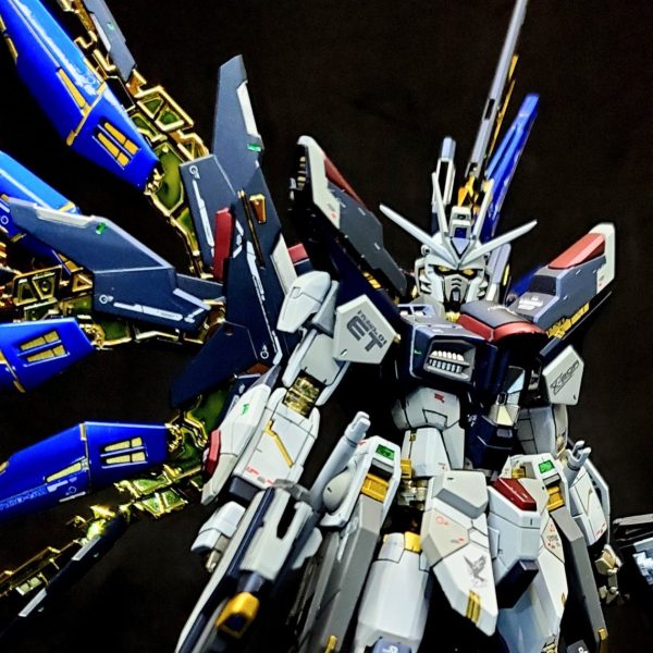 ＲGストライクフリーダム