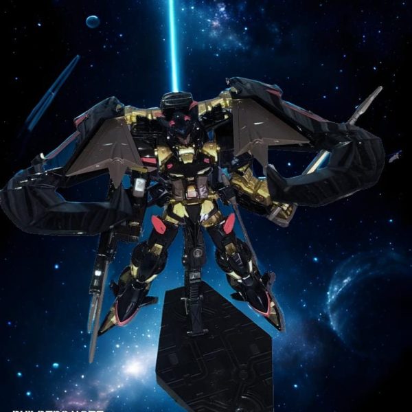 ゴールドフレーム天ミナ