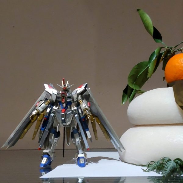 HG マイティーストライクフリーダムガンダム