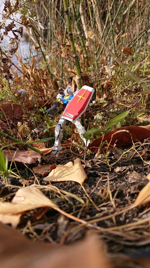 茂みから「これより奇襲行動を開始する！」