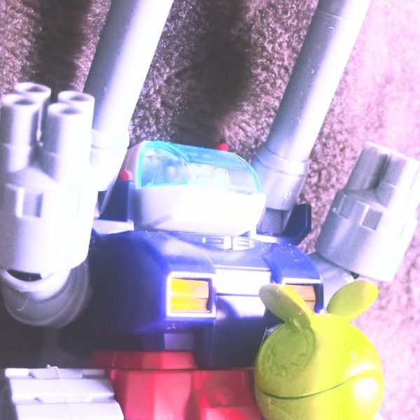 昭和１００年　初詣　がんたん○