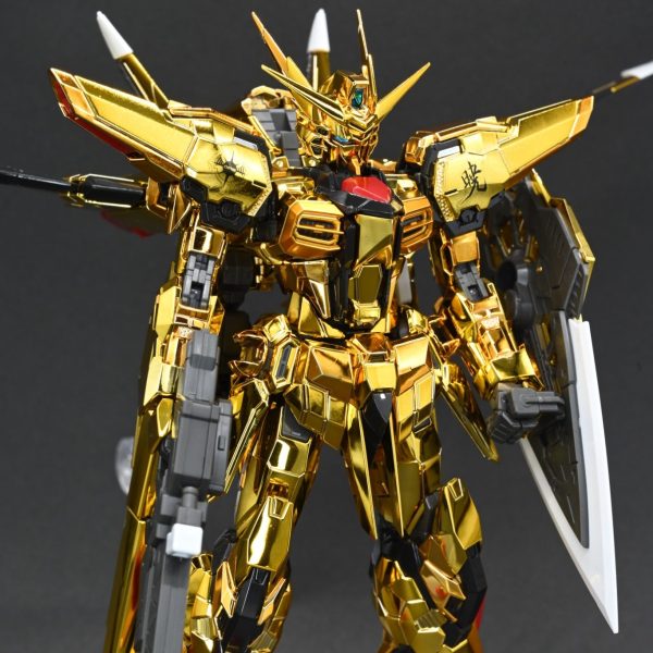 RGアカツキ・大鷲＆不知火