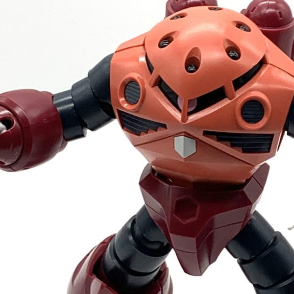 HGシャア専用ズゴック