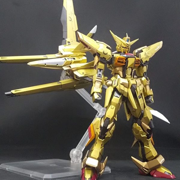 RGアカツキ オオワシ