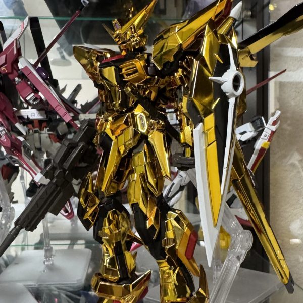 RGアカツキオオワシ装備