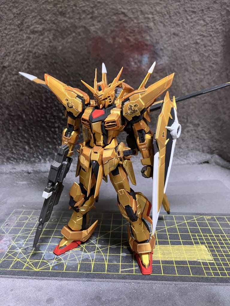 オオワシパック装備。イケメン