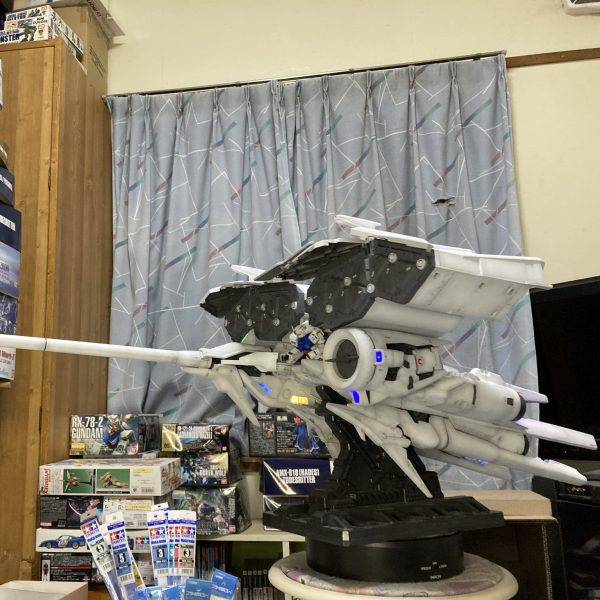 HGデンドロビウム