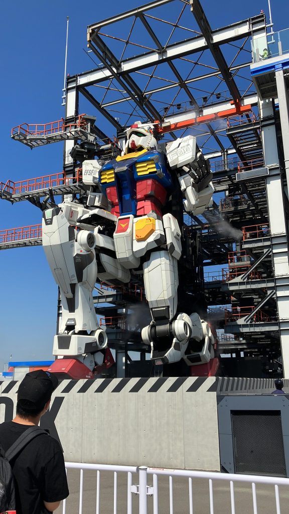 購入時に見たポーズすごいモノ見れたんだなぁとしみじみ以下、寸劇調