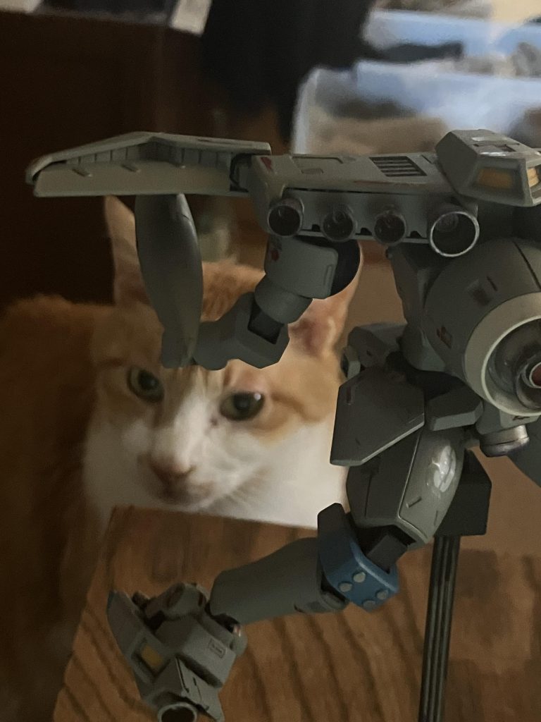 最後まで、ご覧いただきありがとうございましたm(_ _)m