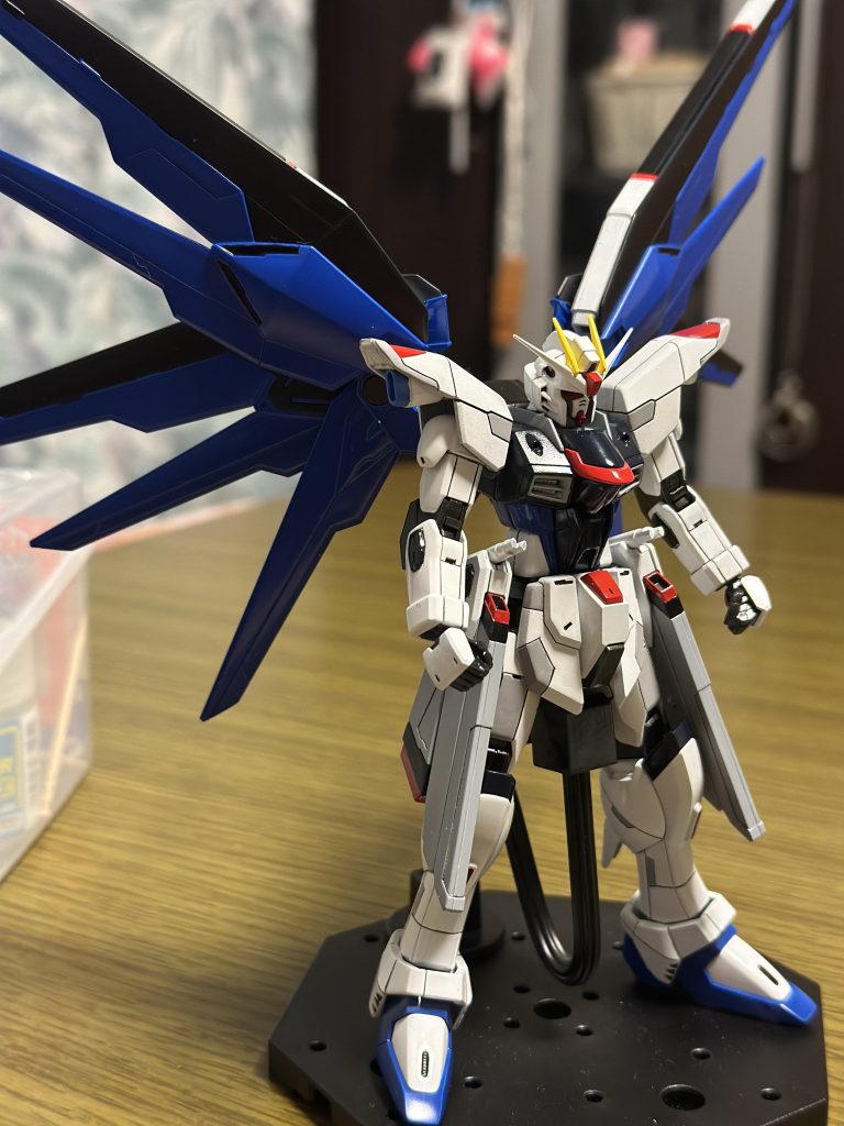 HGCE フリーダム完成〜それでも！守りたい世界があるんだ！〜–4枚目/制作者：道化師