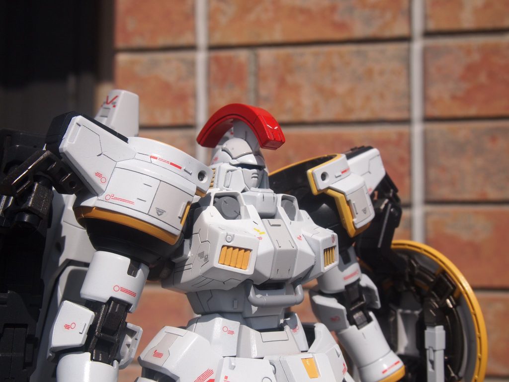 上半身は特にスジボリ頑張りました。