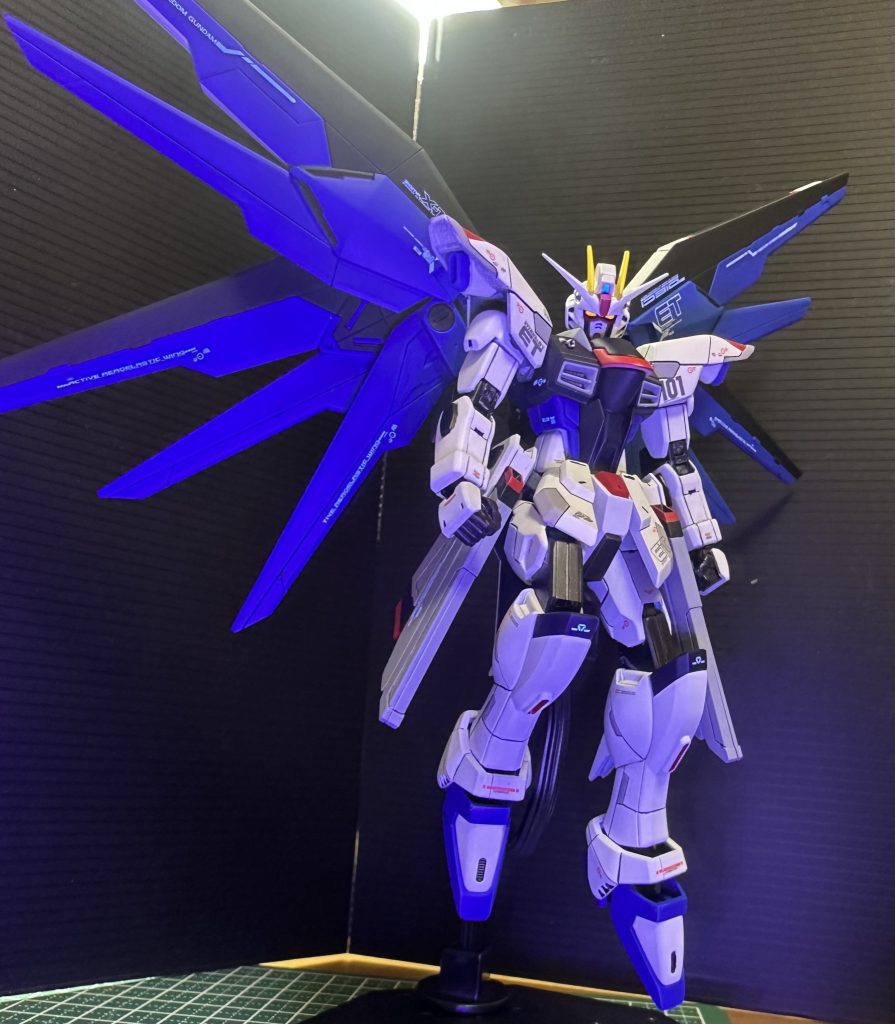 HGCE フリーダム完成〜それでも！守りたい世界があるんだ！〜–3枚目/制作者：道化師