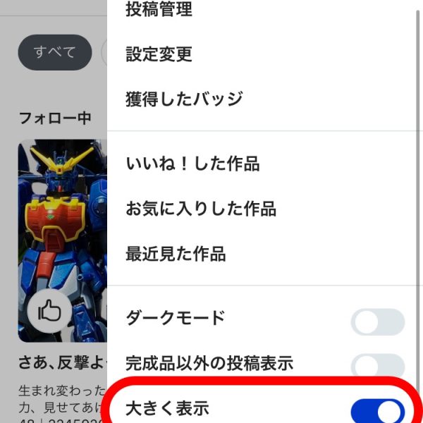 大きく表示とその他のお知らせ