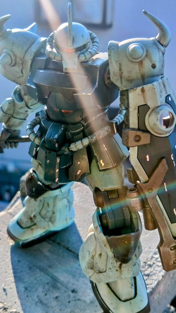 朝日がいい具合当たってます