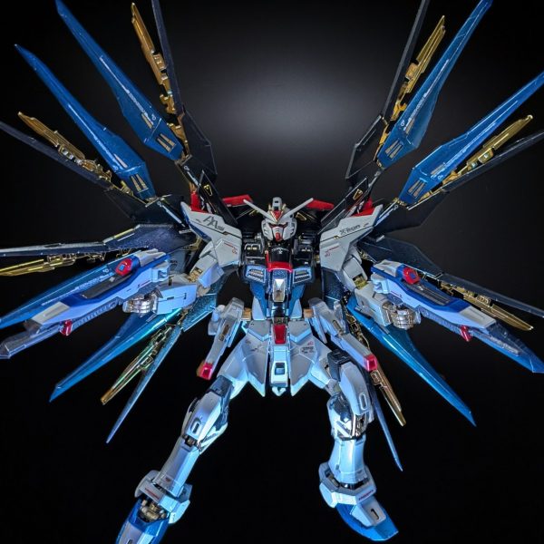 RG ストライクフリーダムガンダム