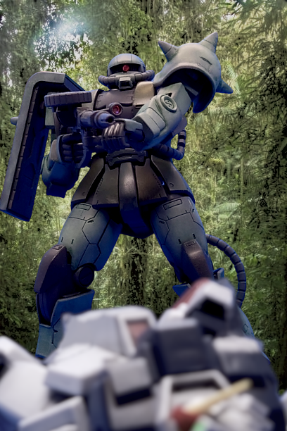 HG MSD MS06JC 陸戦型ザクⅡ　(画像追加)