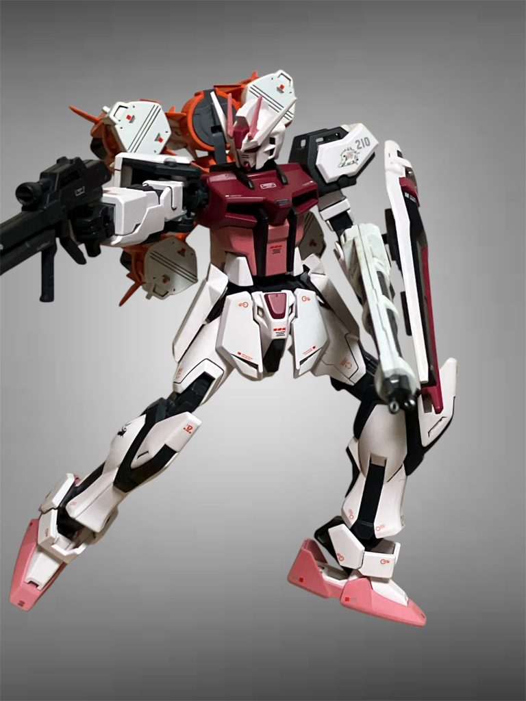 ポーズとってみました