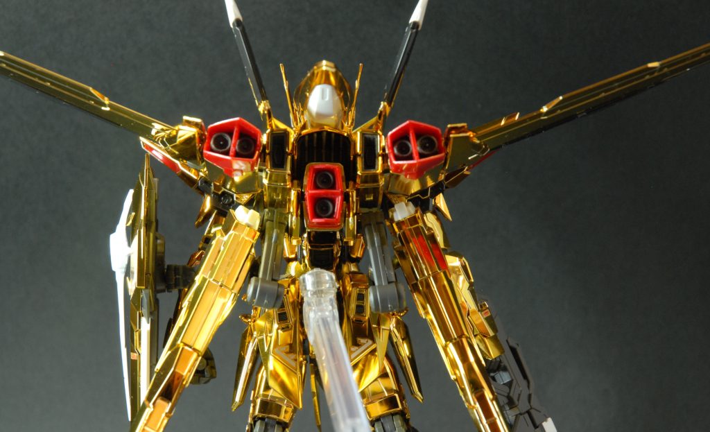 さすがRG。後ろから見ても素晴らしい造形です。