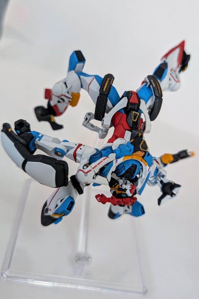 アクロバットが似合う