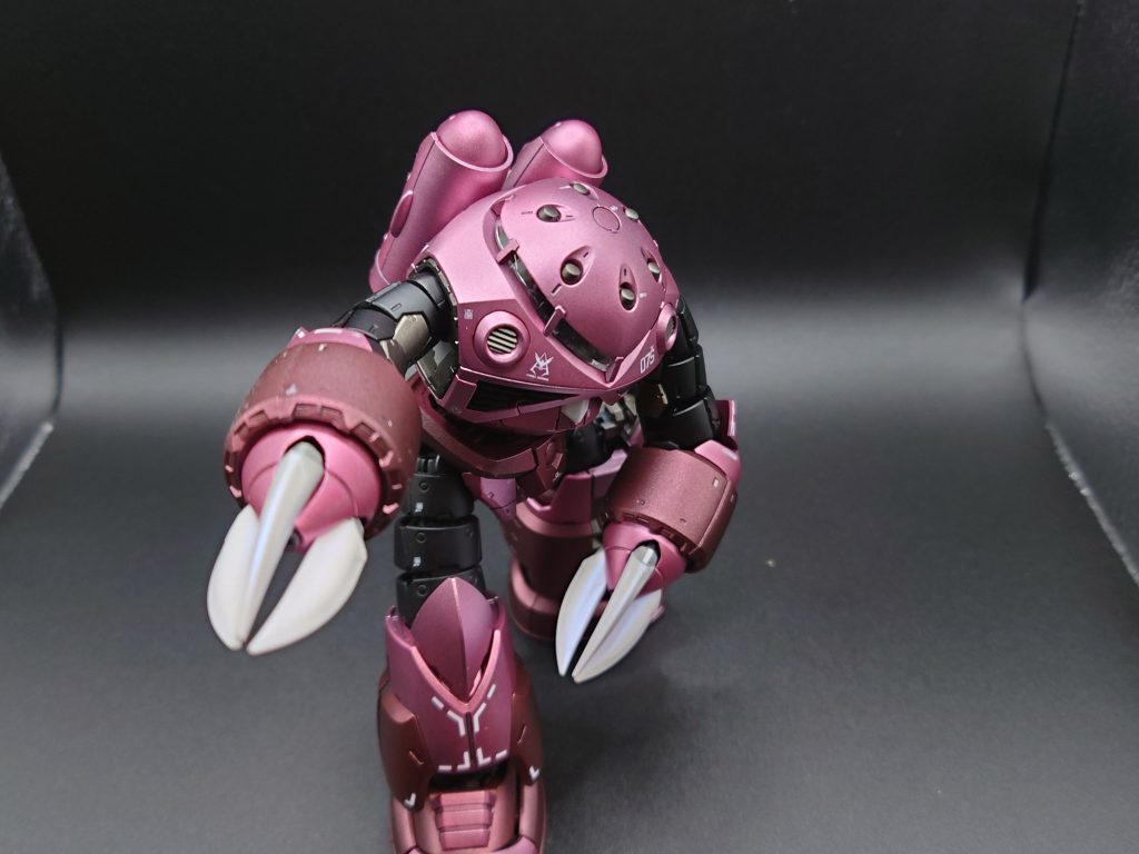 メタリックカラーズゴック–3枚目/制作者：どんぐり