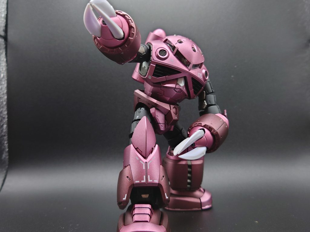 メタリックカラーズゴック–4枚目/制作者：どんぐり