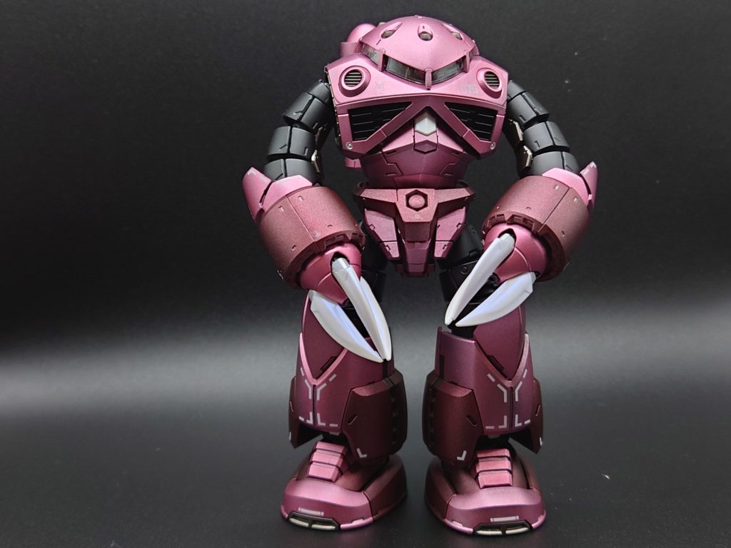 メタリックカラーズゴック–5枚目/制作者：どんぐり