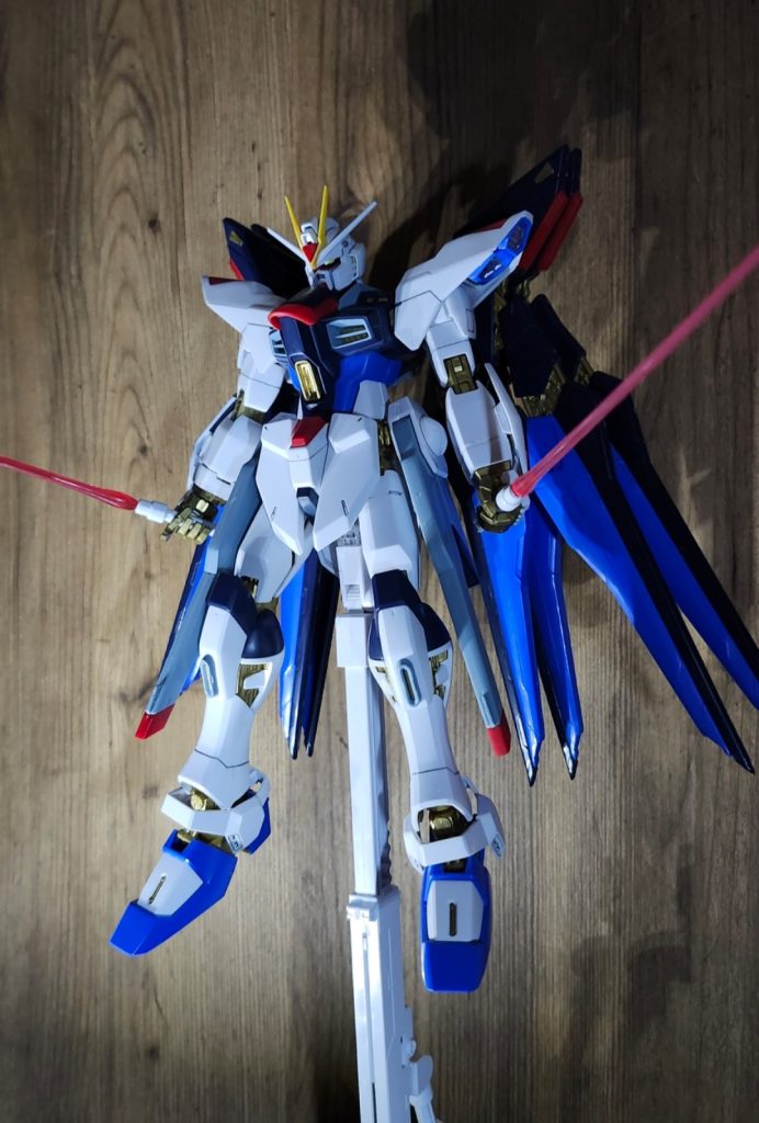 ご覧頂きありがとうございました！MGではありませんが旧1/100デスティニーやインフィニットジャスティスもこれから作って行きたい所存です！！