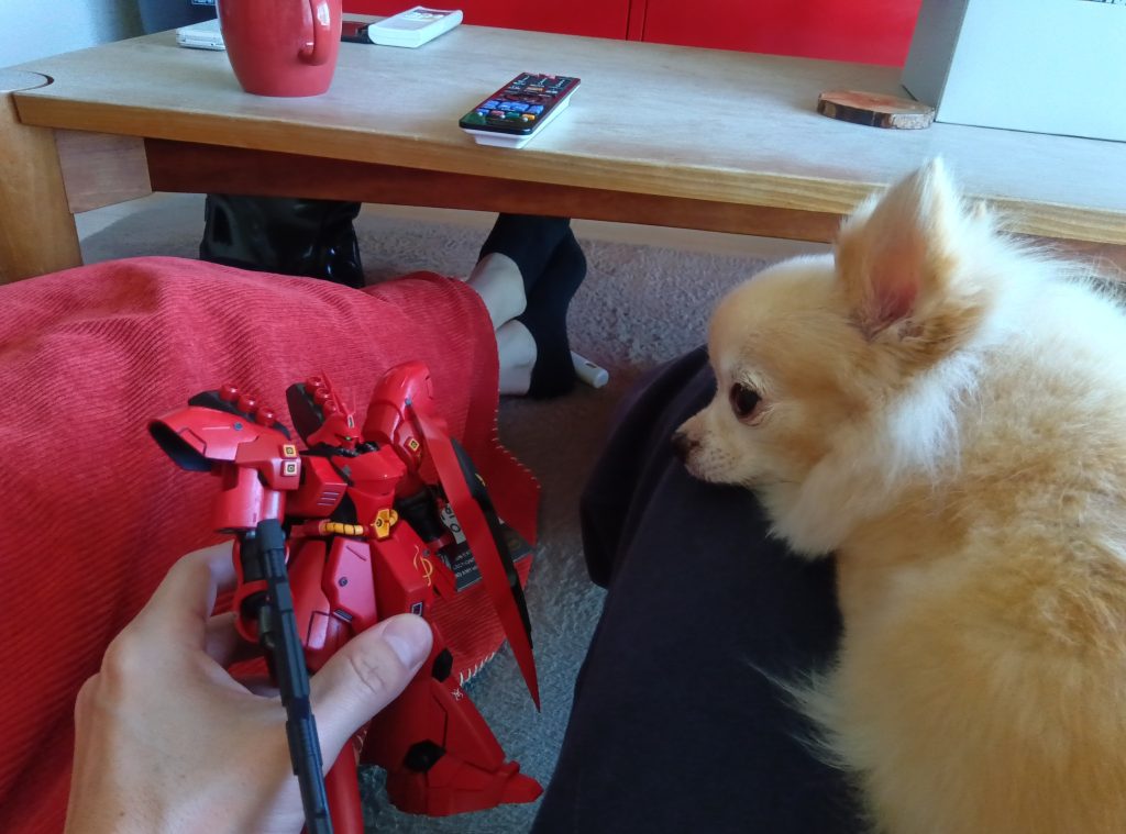 『お友達、喜んでくれると良いね〜(近づけんな！塗装くせーんだよ)！』と、息子🐶