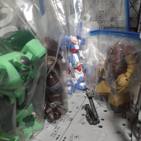 春まで待ってて✨