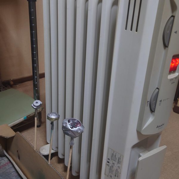 以外と丁度いい